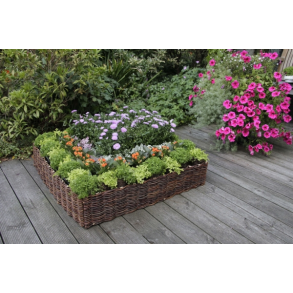 Plantekasse i rotting