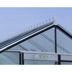 M�nedekor, blank alu